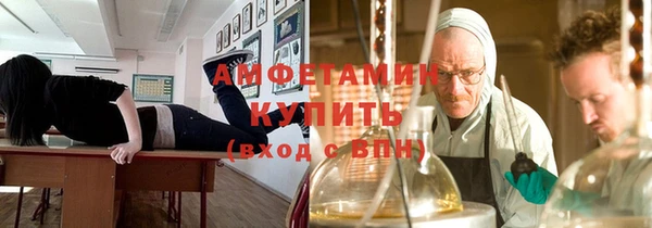 сатива Алзамай