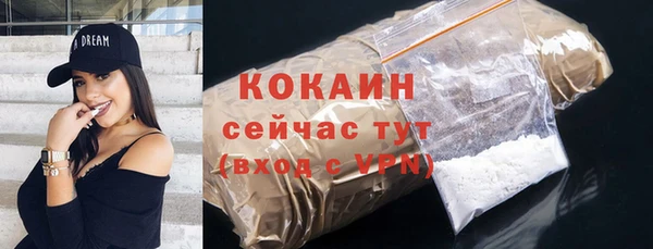 твердый Алексин