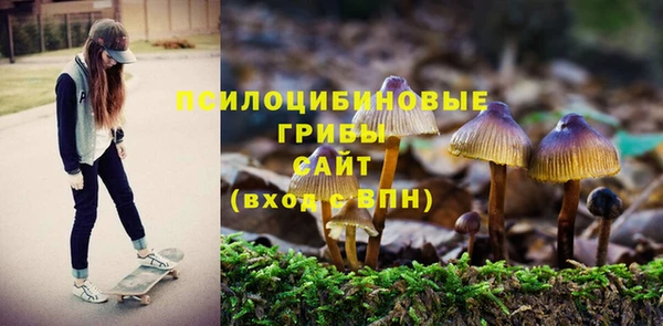 марки lsd Абаза